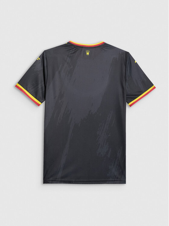 4F 4F Koszulka techniczna TEAMWEAR Kolorowy Regular Fit
