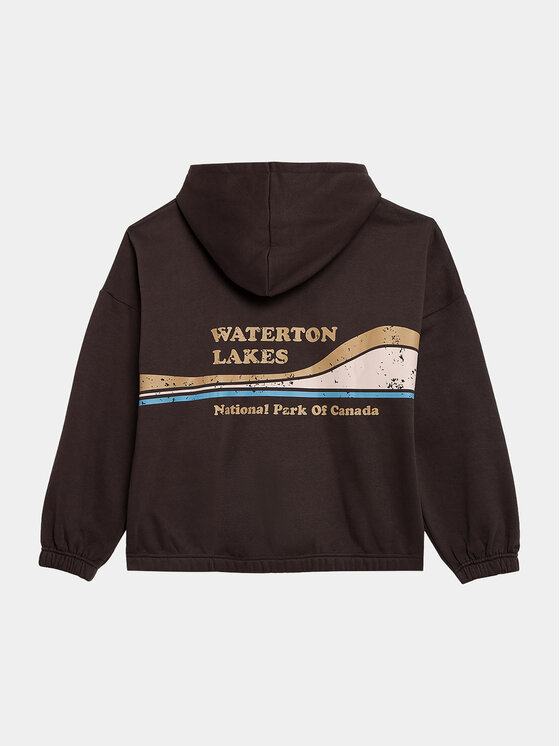 Outhorn Outhorn Felpa OTHAW23TSWSF0737 Marrone Regular Fit