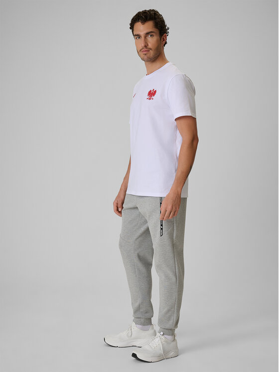 4F 4F Joggery STREFA KIBICA Szary jasny Regular Fit