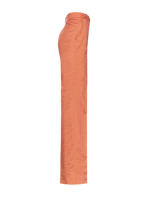 PINKO PINKO Pantaloni invernali 104945-a2df-l55 Marrone Regular Fit