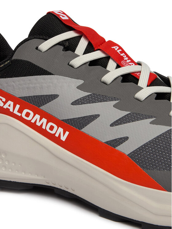 Salomon Salomon Buty do biegania Alphaglide Gore-Tex L47975300 Szary