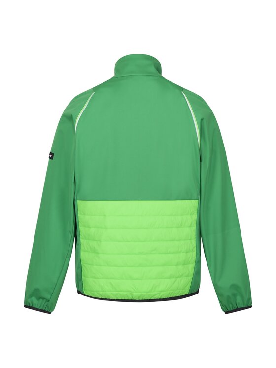 Regatta Regatta Kurtka outdoor Steren Hybrid Zielony Flexible Fit