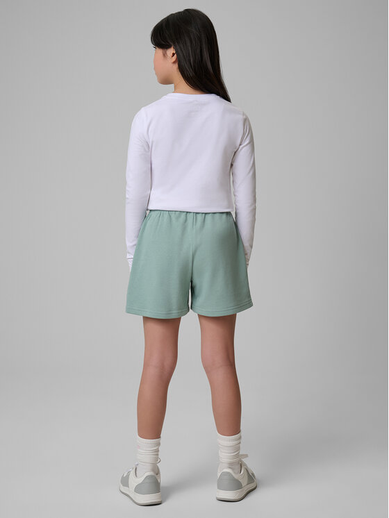 4F 4F Szorty sportowe BASIC+ Turkusowy Regular Fit