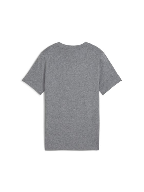 Puma Puma T-Shirt 685779 Szary Regular Fit