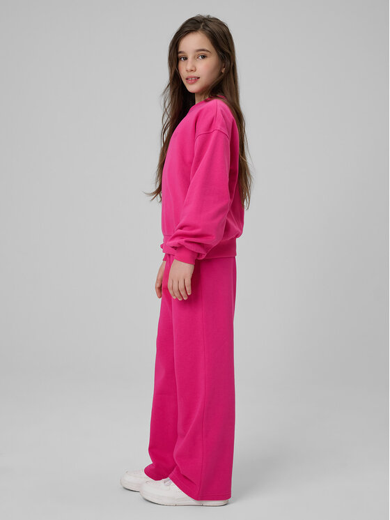 4F 4F Spodnie dresowe BASIC+ Różowy Regular Fit