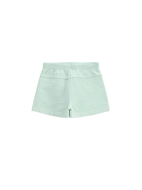 Coccodrillo Coccodrillo Pantaloni scurți sport WC5120401VGC Verde Regular Fit