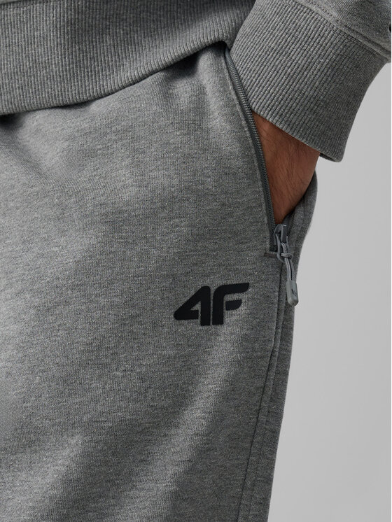 4F 4F Spodnie dresowe BASIC+ Szary Regular Fit