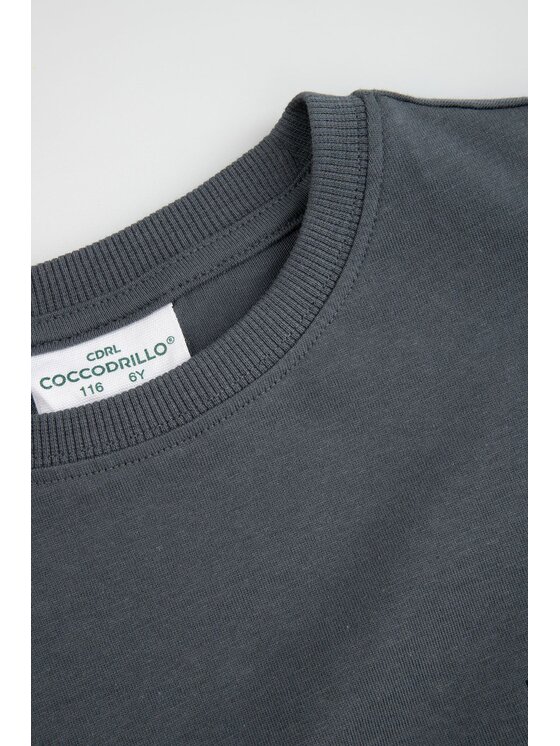 Coccodrillo Coccodrillo Longsleeve WC6143103NBK-020 Szary Regular Fit