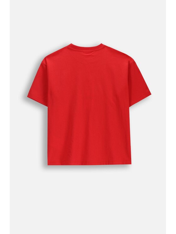Coccodrillo Coccodrillo T-Shirt WC6143202TUG-009 Czerwony Regular Fit