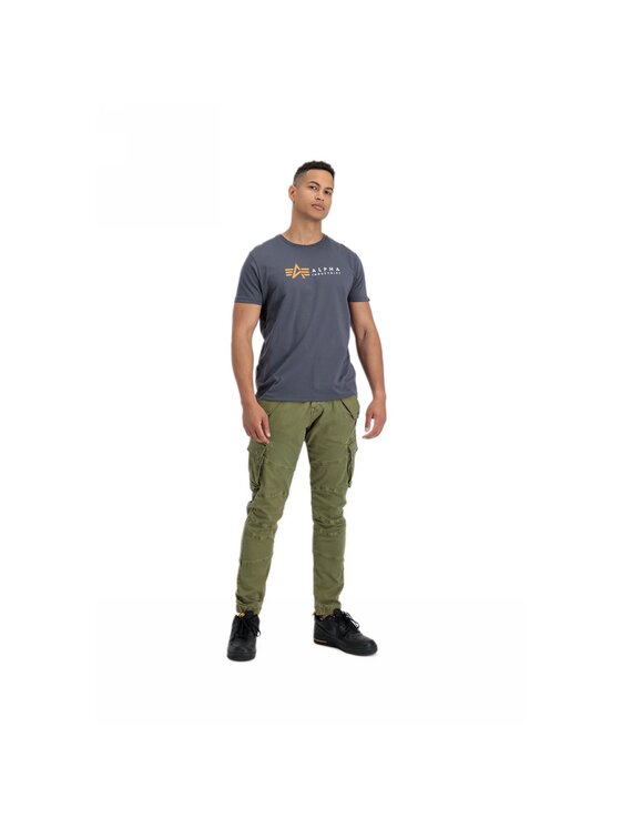 Alpha Industries Alpha Industries Tričko AI.118502-136-S Sivá Regular Fit
