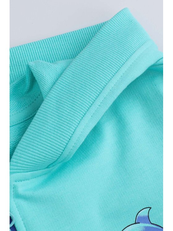 Coccodrillo Coccodrillo Mikina WC5132401IBK-013 Tyrkysová Regular Fit
