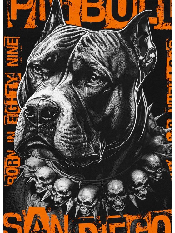 PITBULL PITBULL T-Shirt BLACKY Czarny Regular Fit