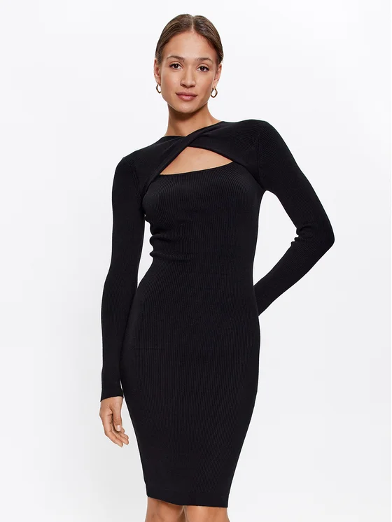 Fracomina Strickkleid FR23WD5002K50601 Schwarz Regular Fit