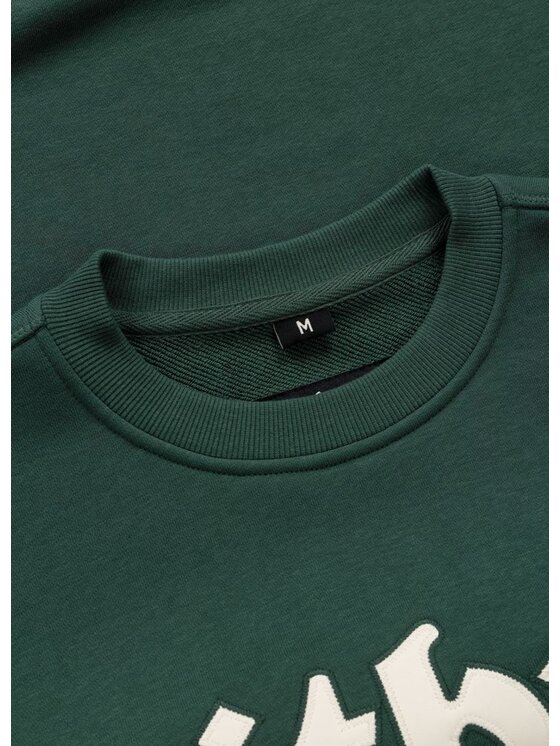 PITBULL PITBULL Bluza TAYLOR Zielony Regular Fit