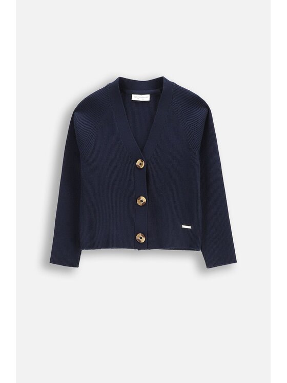 Coccodrillo Coccodrillo Sweter WC5172201BSG-015 Granatowy Regular Fit