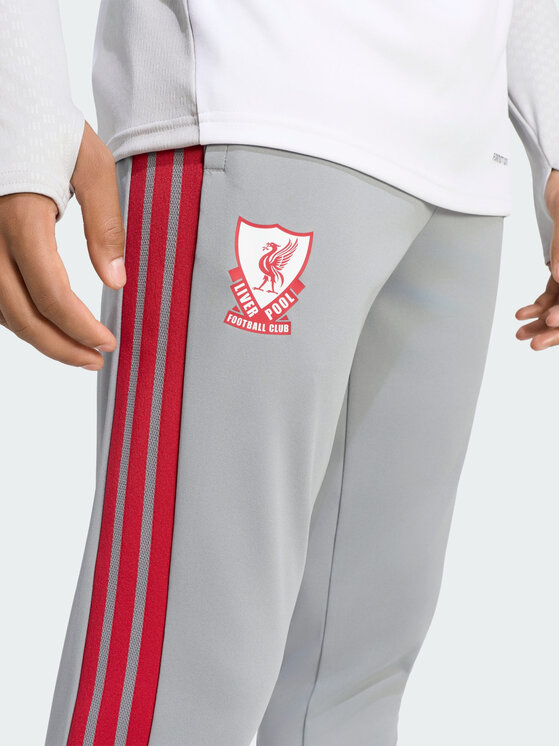 adidas adidas Spodnie dresowe 172364 Szary Slim Fit