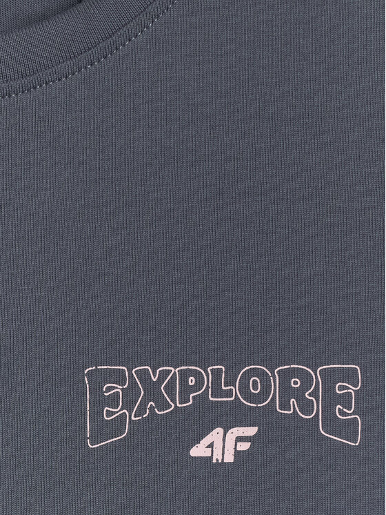 4F 4F T-Shirt WILD WANDERLUST Szary ciemny Regular Fit