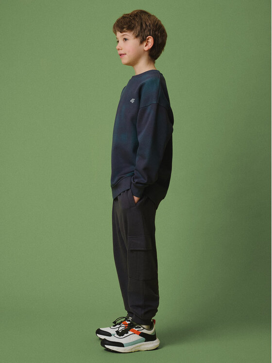 4F 4F Pantaloni da tuta ENJOY THE OUTDOORS Grigio scuro Regular Fit