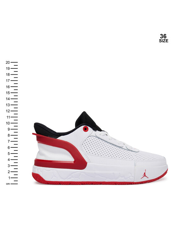 Nike Nike Basketbalové boty Day1 E.O. (GS) FQ1306 102 Bílá
