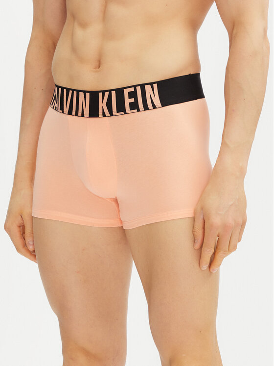 Calvin Klein Underwear Calvin Klein Underwear Set od 3 para bokserica Trunk 3Pk 000NB3608A Šarena
