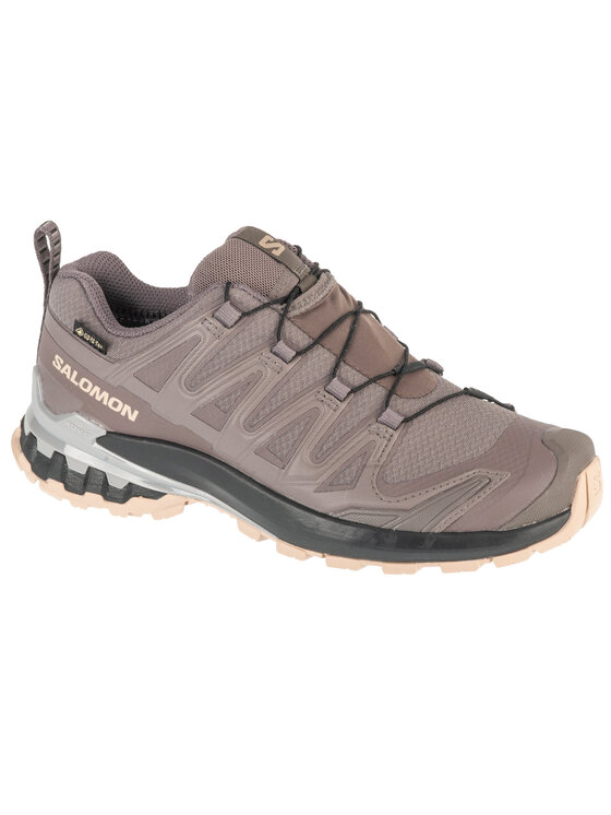 Salomon Salomon Buty do biegania XA Pro 3D v9 GTX W Szary