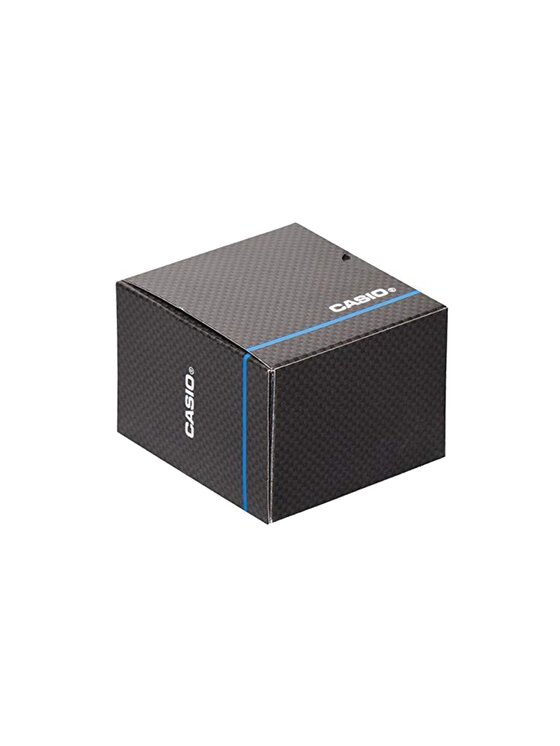 Casio Casio Ρολόι ltp-1302sg-7advf Έγχρωμο