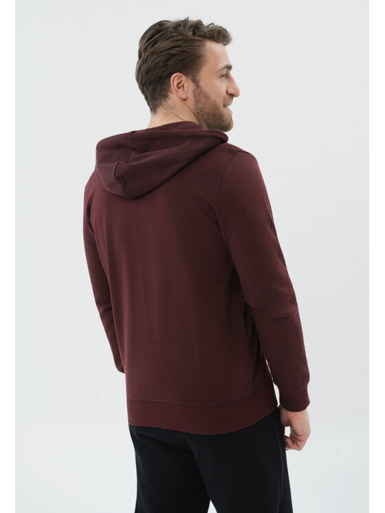 Volcano Volcano Bluza B-HAW Fioletowy Regular Fit