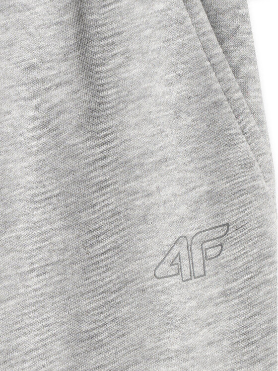 4F 4F Spodnie dresowe NOS Szary Regular Fit