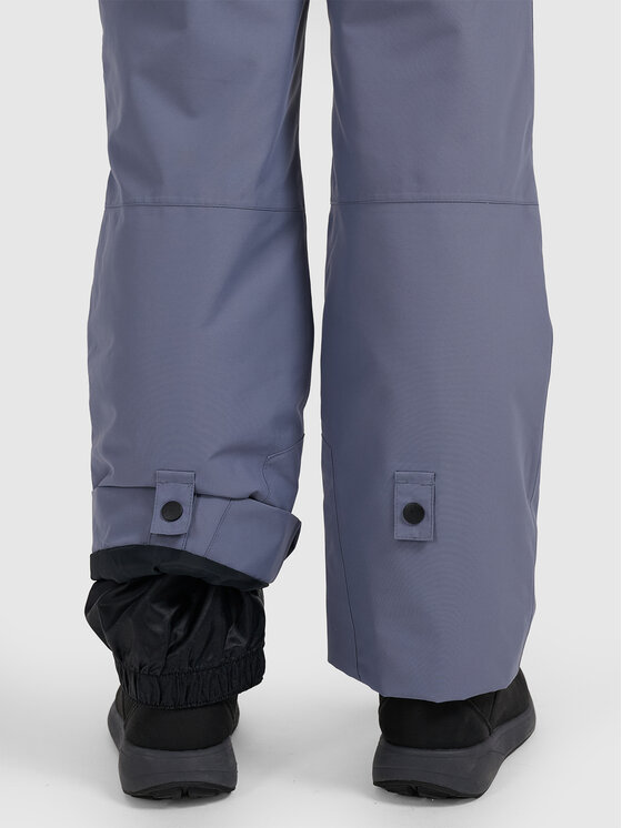 4F 4F Spodnie narciarskie BASIC SKI Szary Regular Fit