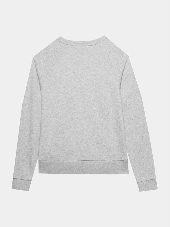 4F 4F Sweatshirt 4FWSS24TSWSF0954 Grau Regular Fit