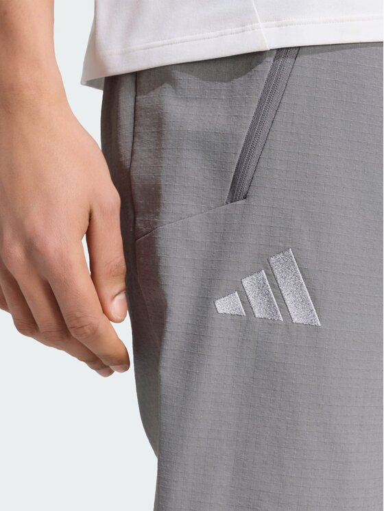 adidas adidas Spodnie outdoor 161513 Szary Regular Fit