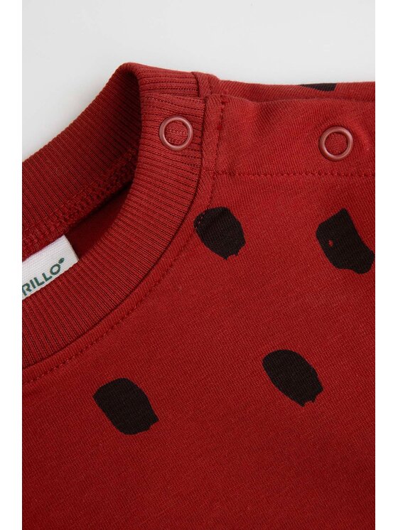 Coccodrillo Coccodrillo S dlouhým rukávem ZC6143101SUN-017 Bordó Regular Fit