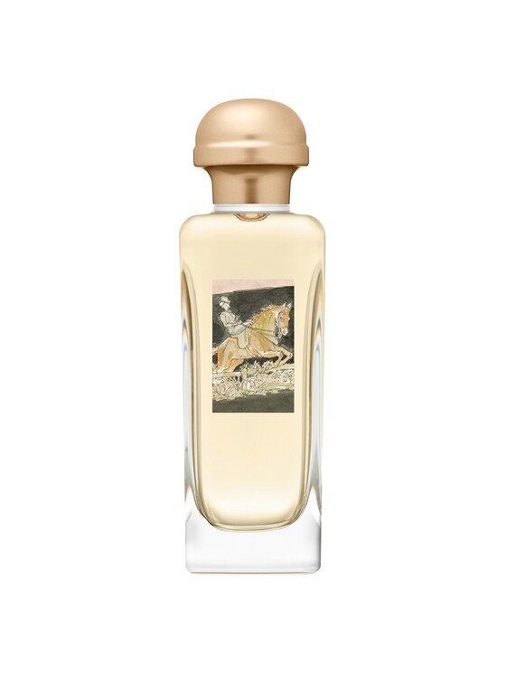 Hermes Hermes Hermes Amazone woda toaletowa spray 100ml Woda toaletowa