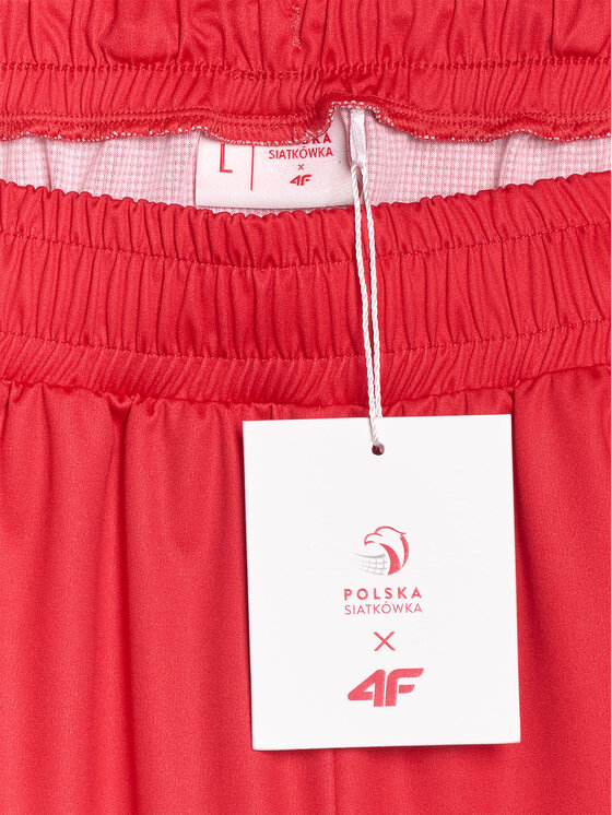 4F 4F Szorty sportowe TEAMWEAR Kolorowy Regular Fit