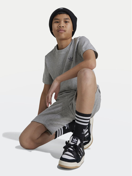 adidas adidas T-Shirt IX5267 Szary Regular Fit