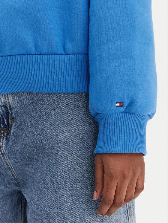 Tommy Hilfiger Tommy Hilfiger Mikina Corp Logo WW0WW47831 Modrá Regular Fit