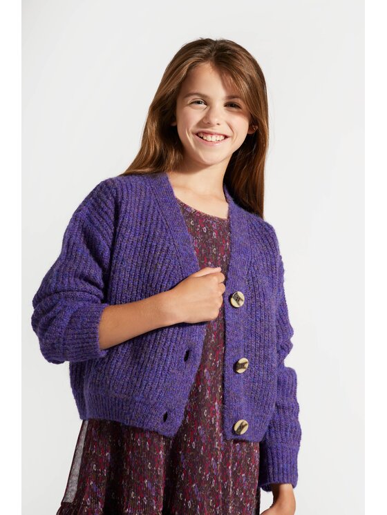 Coccodrillo Coccodrillo Sweter ZC4172201AGJ-016 Fioletowy Regular Fit