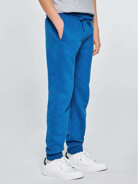 BIG STAR BIG STAR Spodnie dresowe LAMENP Niebieski Basic Fit
