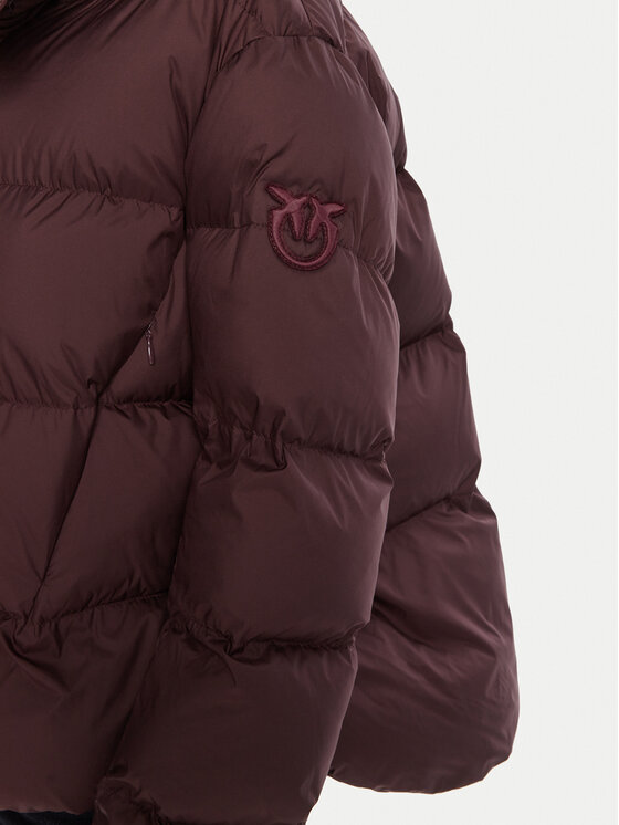PINKO PINKO Zimska jakna 101602 A2P6bord Bordo rdeča Regular Fit