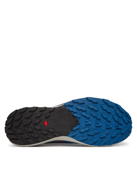 Salomon Salomon Взуття для бігу Sense Ride 5 L47808600 Голубий