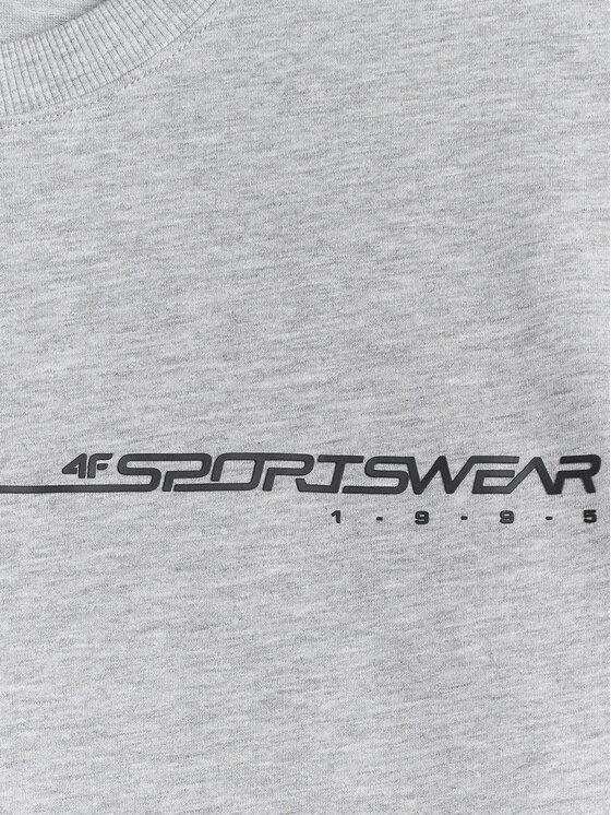 4F 4F T-Shirt BRAND CODE Szary jasny Regular Fit