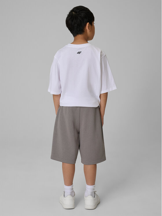 4F 4F Szorty sportowe WAVE RIDERS CLUB Szary Loose Fit