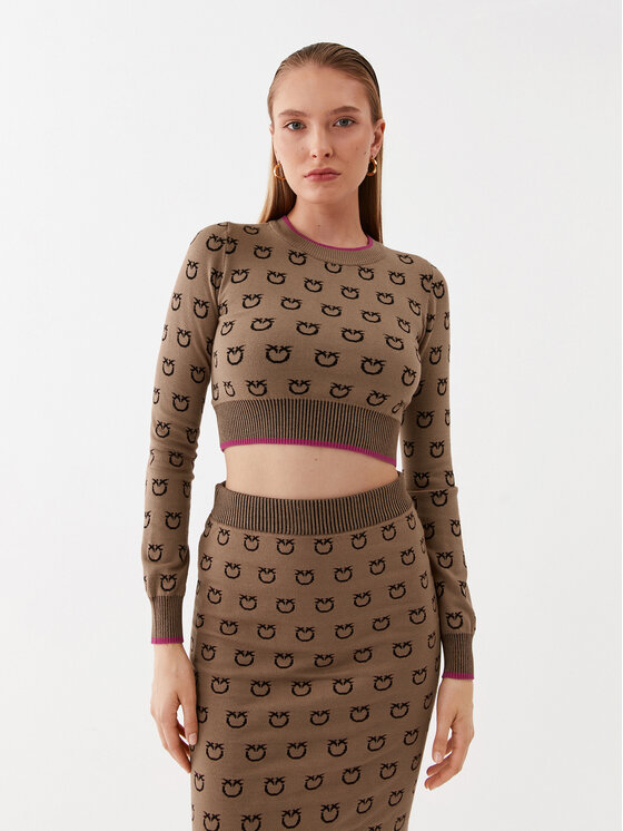 PINKO Pinko Pulover Furetto 101561 A112 Rjava Slim Fit
