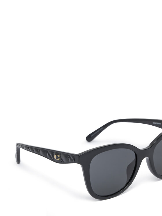 Coach Coach Saulesbrilles 0HC8419U Melns