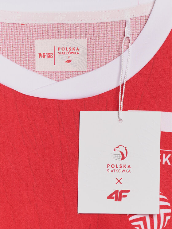 4F 4F T-Shirt TEAMWEAR Kolorowy Regular Fit