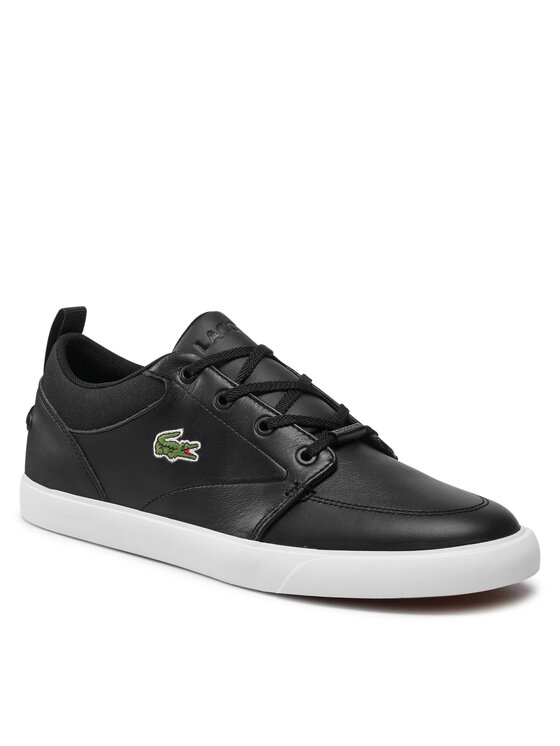 bayliss lacoste