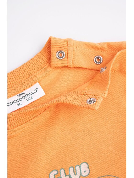 Coccodrillo Coccodrillo T-Shirt WC5143201SBN-006 Pomarańczowy Regular Fit