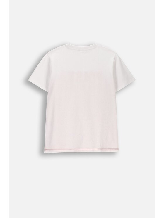 Coccodrillo Coccodrillo T-Shirt WC6143205SKP-001 Biały Regular Fit