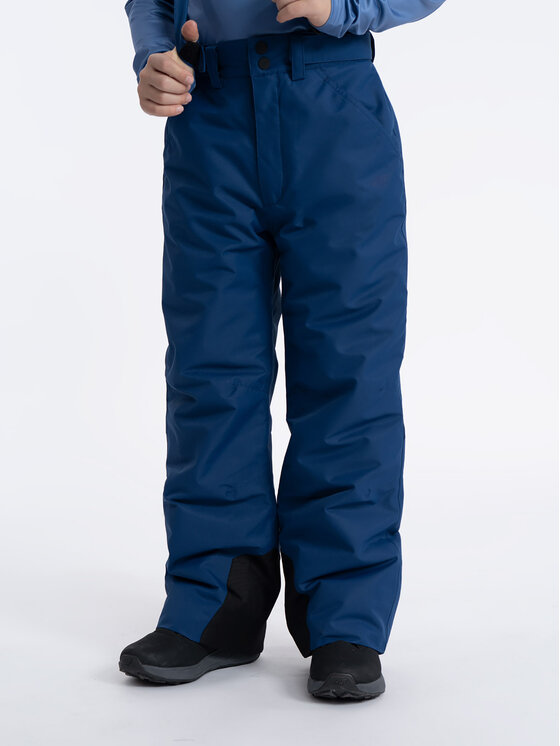 4F 4F Lyžiarske nohavice 4FJAW23TFTRM358 Tmavomodrá Regular Fit