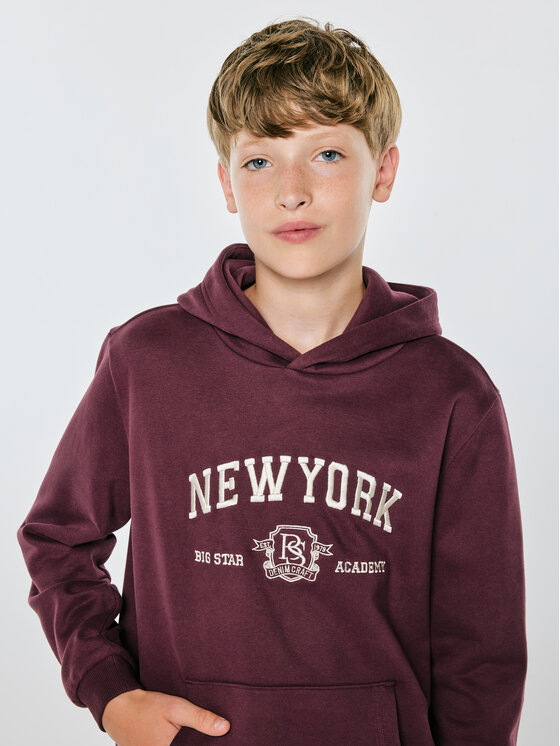 BIG STAR BIG STAR Bluza MARK Bordowy Basic Fit